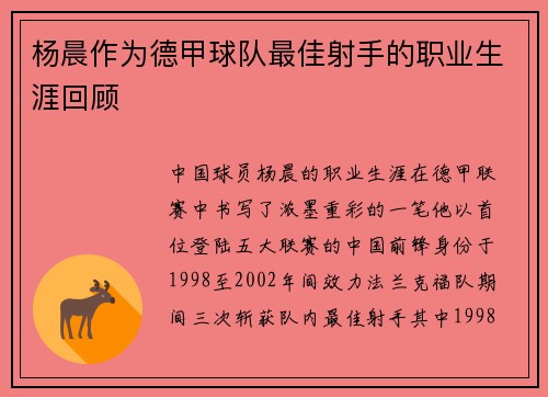 杨晨作为德甲球队最佳射手的职业生涯回顾